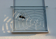 Franz. Balkongeländer Füllung als Spinnennetz mit Spinne
